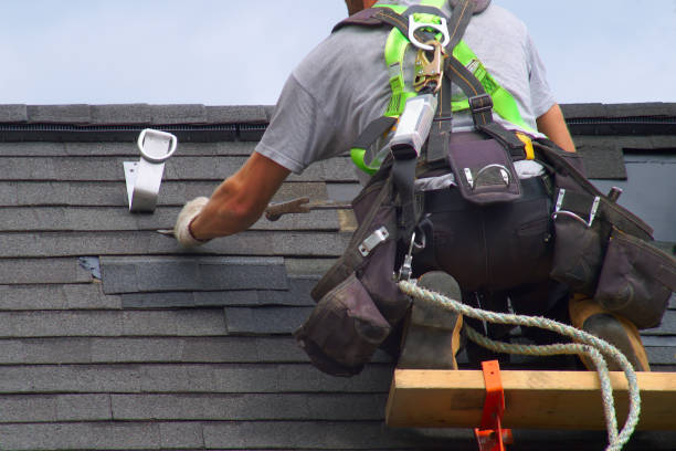 Best Custom Trim and Detailing for Siding  in Ecorse, MI