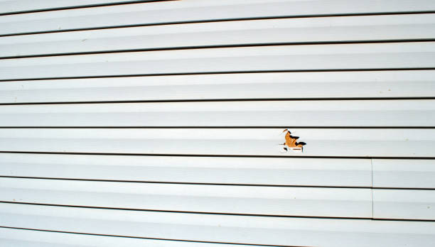 Best Siding Removal and Disposal  in Ecorse, MI