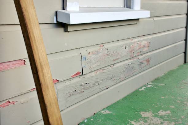 Affordable siding repair and maintenance services in Ecorse, MI